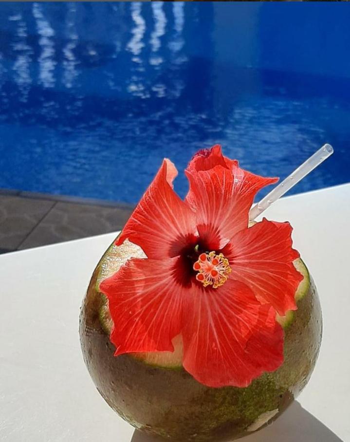 Pousada Florais Do Atlantico เอสตันเซีย ภายนอก รูปภาพ